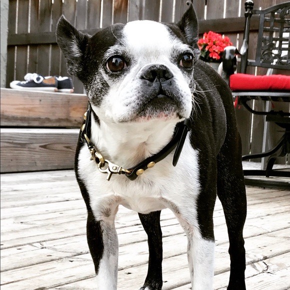 Meet your Posher, Heidi - Picture 3 of 4